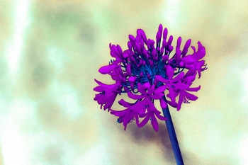 F 062B